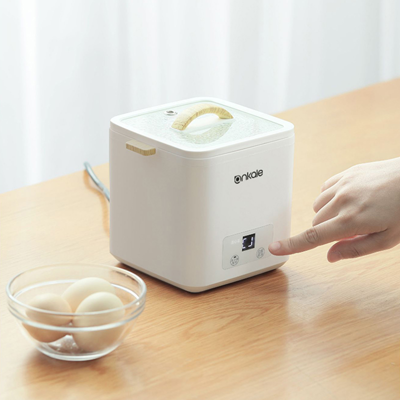 4 Eggs Boiler Steamer Multi Fu - Egg Cooker Rapid ulasan dan harga
