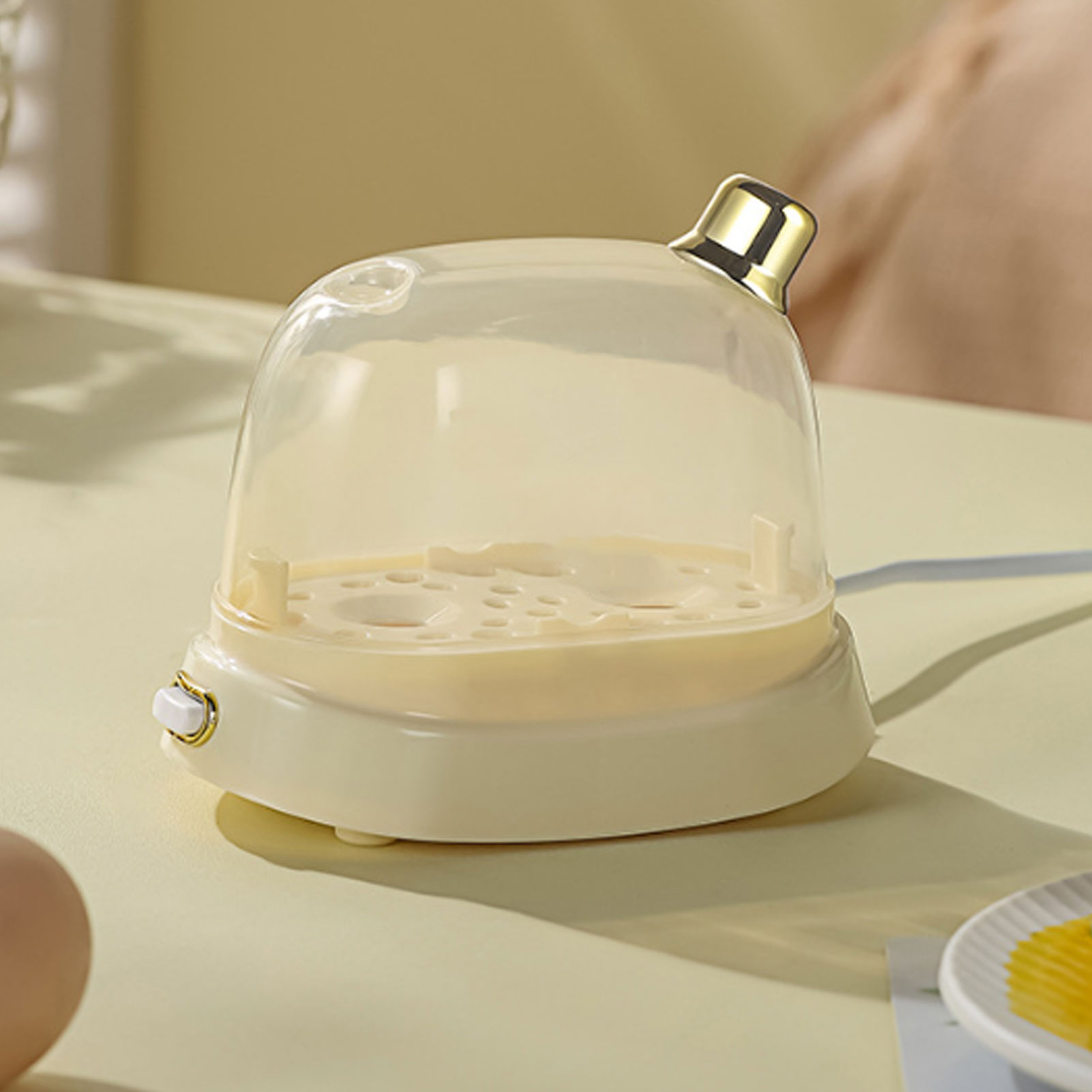 Rapid Egg Cooker 2 Egg Capacit - Egg Cooker Rapid ulasan dan harga